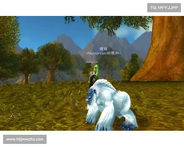 游侠宠物捕捉技巧全面解析助你轻松抓捕稀有宠物攻略