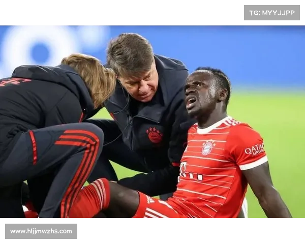 如何获取拜仁马内回归赛场的最新时间安排和伤情更新