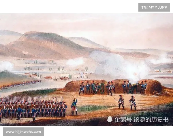 奥利塞四国血统对其政治文化和社会发展的深远影响分析